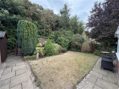 Picture 20